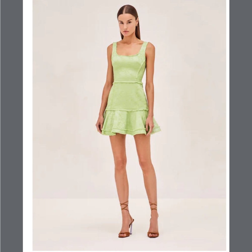 Alexis Noely dress